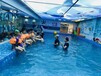 内蒙古包头市亲子游水育游泳池研发生产水育课程中心就找游乐宝