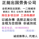 保签项目新西兰急招建筑木工瓦工钢筋工水电工包吃住税后月薪3万人民币