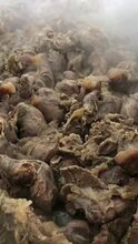 蒙古熟牛肉图片