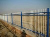 安平小区护栏网价格-衡水提供口碑好的锌钢护栏网