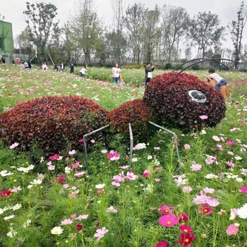 草地主題創(chuàng)意大螞蟻綠雕大型動物大象造型創(chuàng)意主題綠雕
