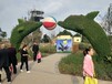 专业定制熊猫造型的绿雕厂家