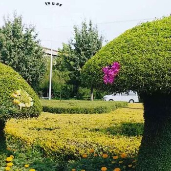 成都仿真綠雕生產(chǎn)廠家創(chuàng)意綠雕造型定制可愛動物造型綠雕
