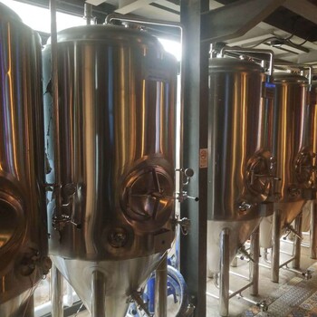 年产3000吨精酿啤酒厂精酿啤酒设备价格自酿啤酒机