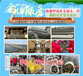 湖北振农生态农业发展公司_振农9号泥鳅养殖_泥鳅养殖基地