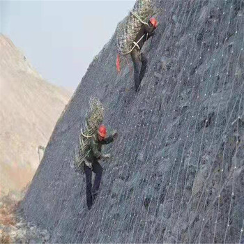 荊門主動柔性邊坡防護(hù)網(wǎng)SNS鋼絲繩格柵網(wǎng)主動攔石網(wǎng)多少錢