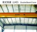 北京欧式双梁起重机哪家好-河南东起供应价格合理的欧式双梁起重机图片