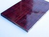 西寧建筑竹膠板-供應蘭州優惠的竹膠板