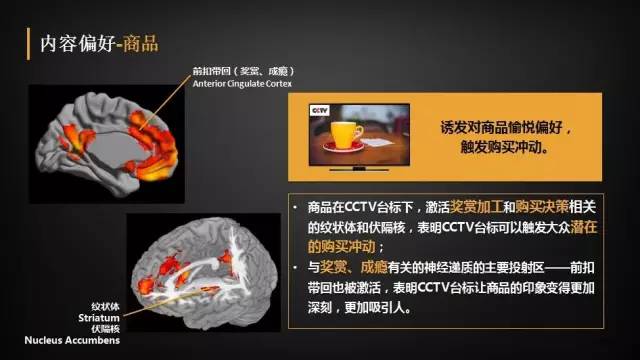 中央台《是真的吗》代理公司