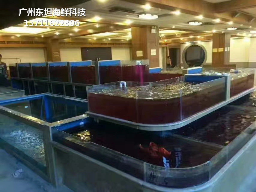 广州番禺定做海鲜市场玻璃鱼池