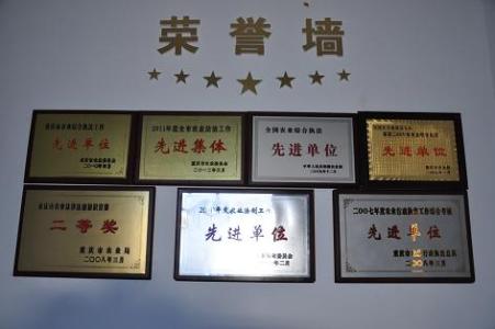 寧德企業榮譽銅牌代辦