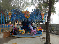 郑州航天公园游乐设备,河南新款游乐园设备旋转木马款式图片5