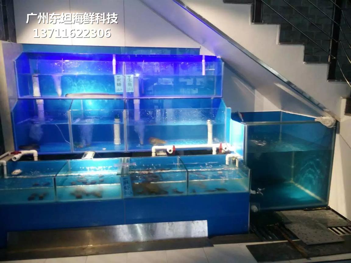 广州海鲜池冷水机