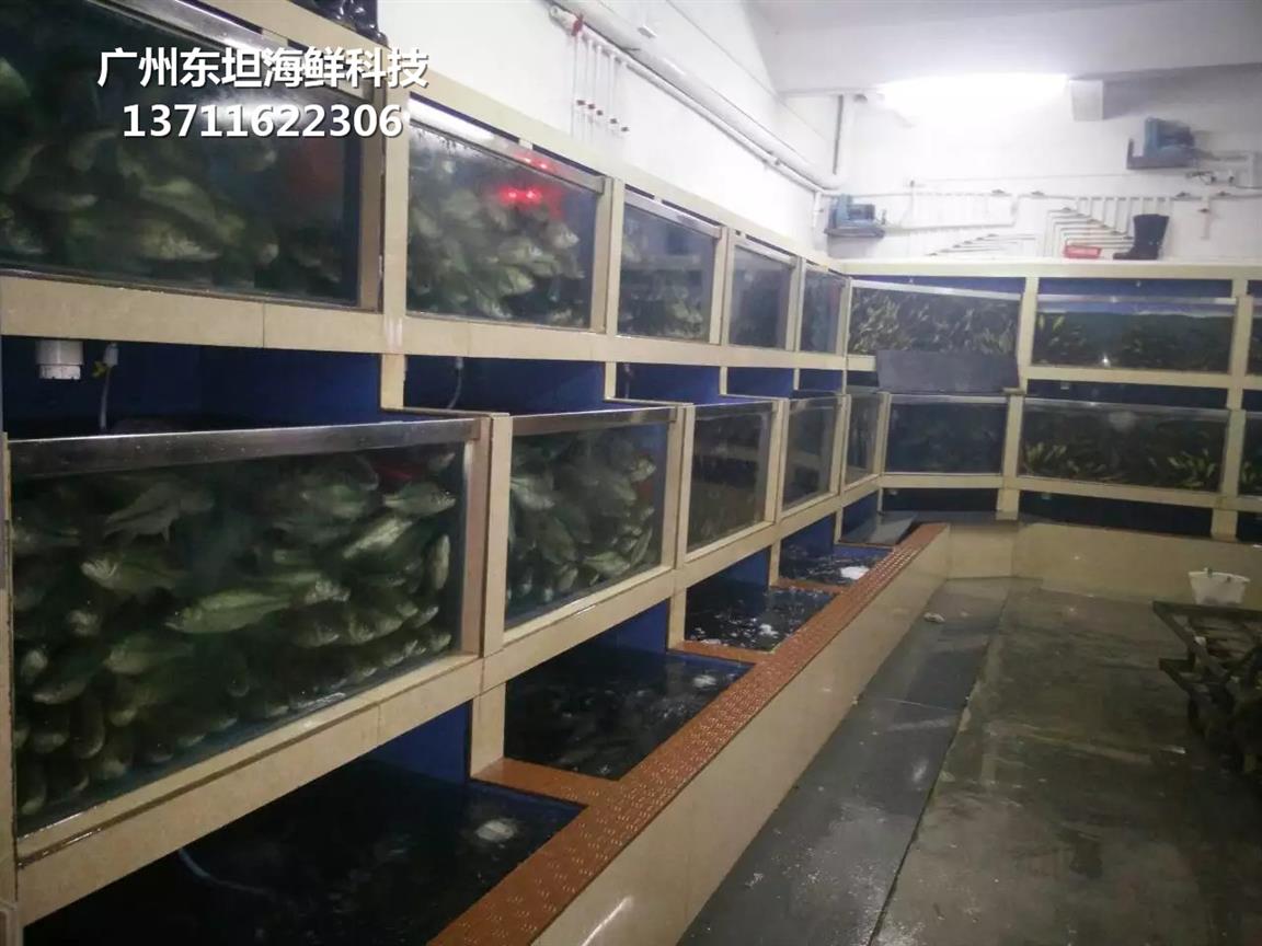 广州海鲜鱼缸厂家