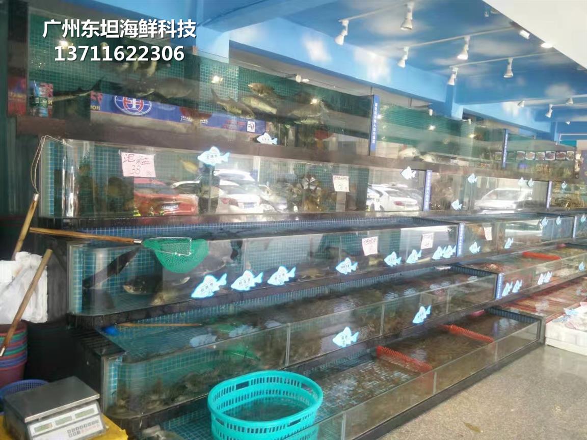 广州玻璃鱼缸制作