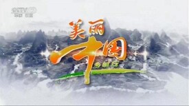 图片0