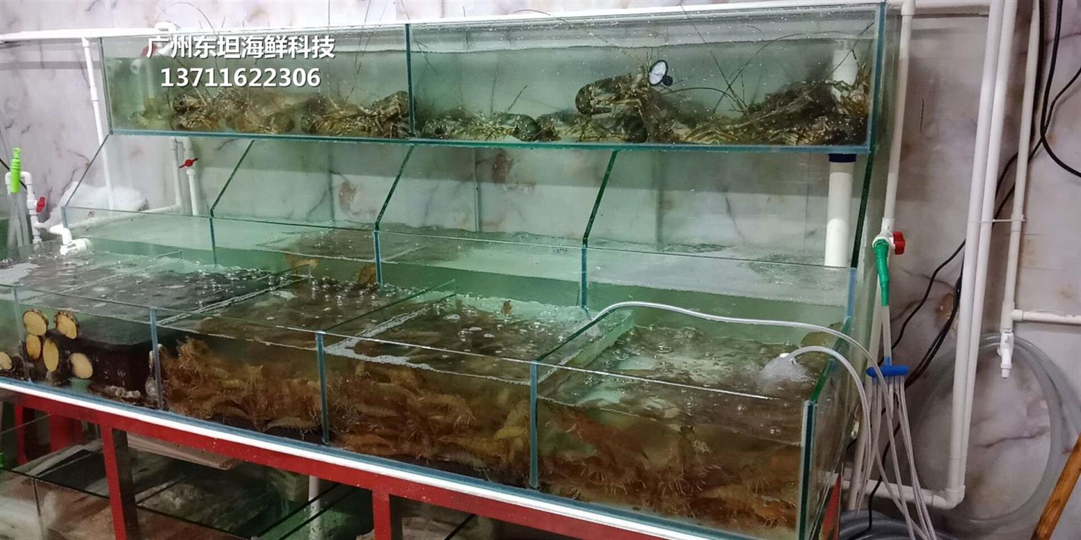 东莞黄江海鲜鱼缸图片