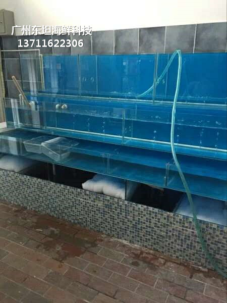 东莞樟木头海鲜鱼缸制冷机