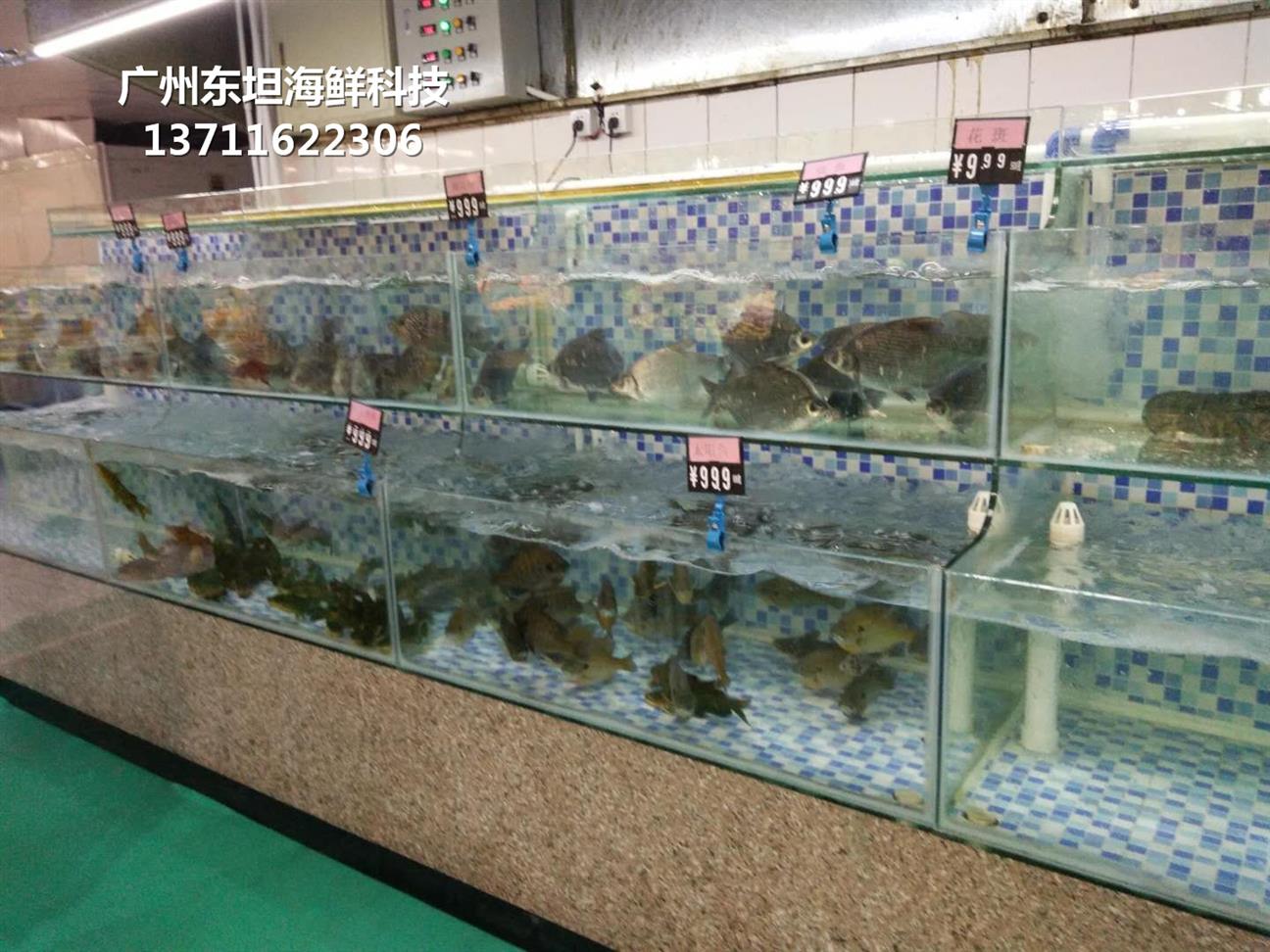 东莞高埗海鲜鱼缸多少钱