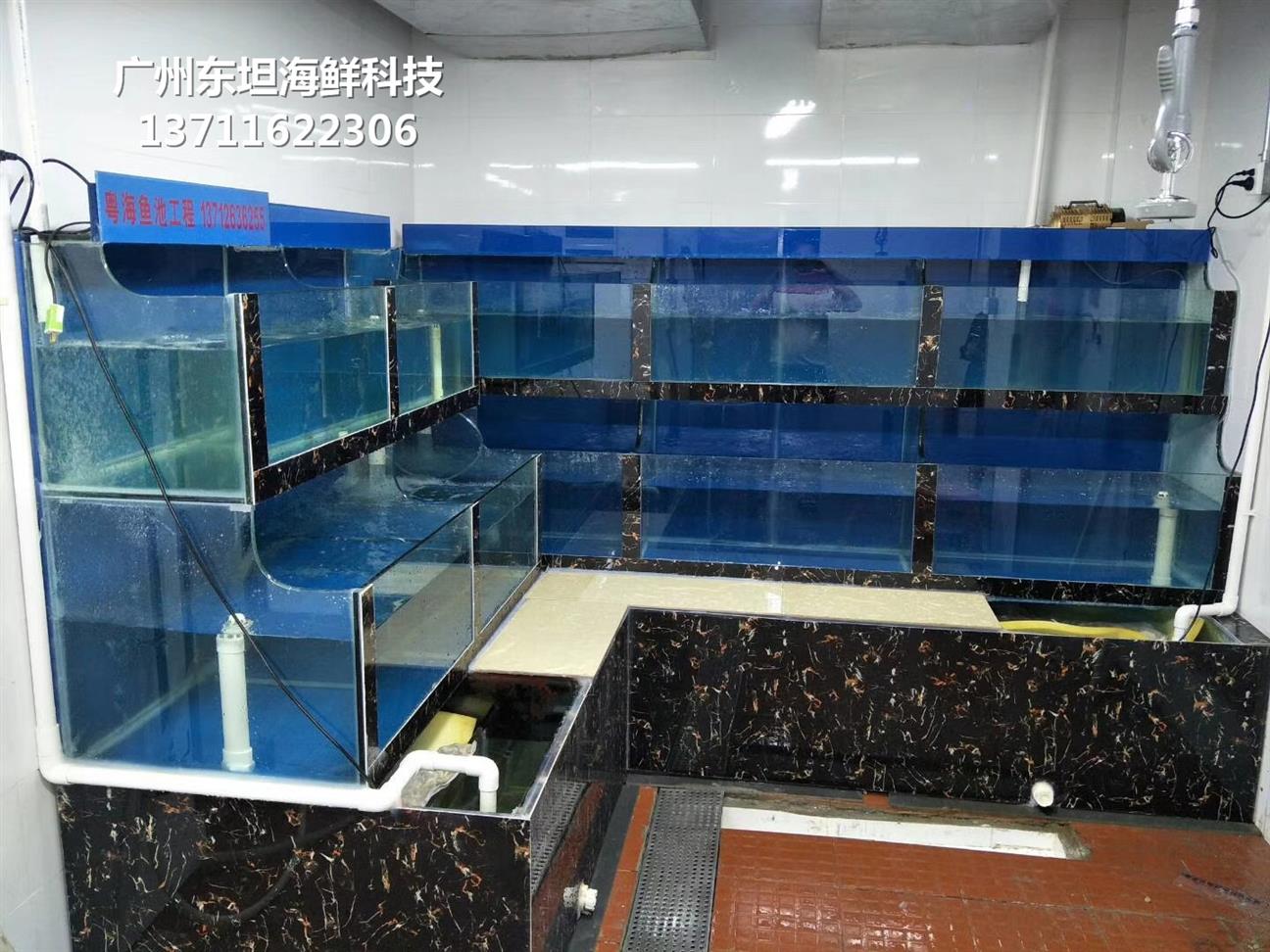 广州黄埔海鲜鱼缸设备
