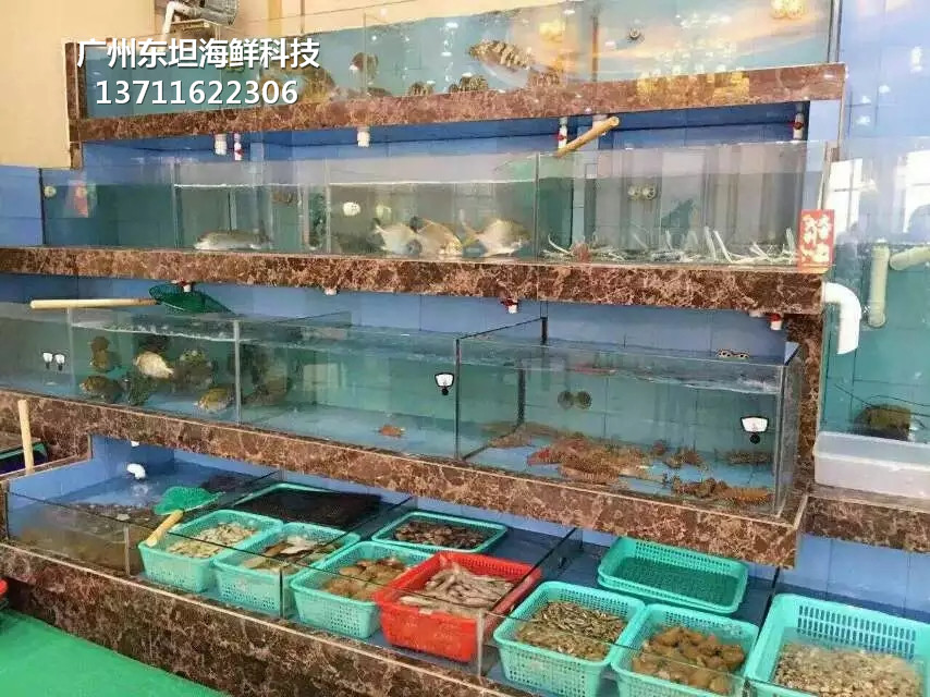 广州增城玻璃海鲜池背景纸