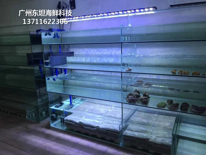 广州萝岗玻璃海鲜池用什么材料