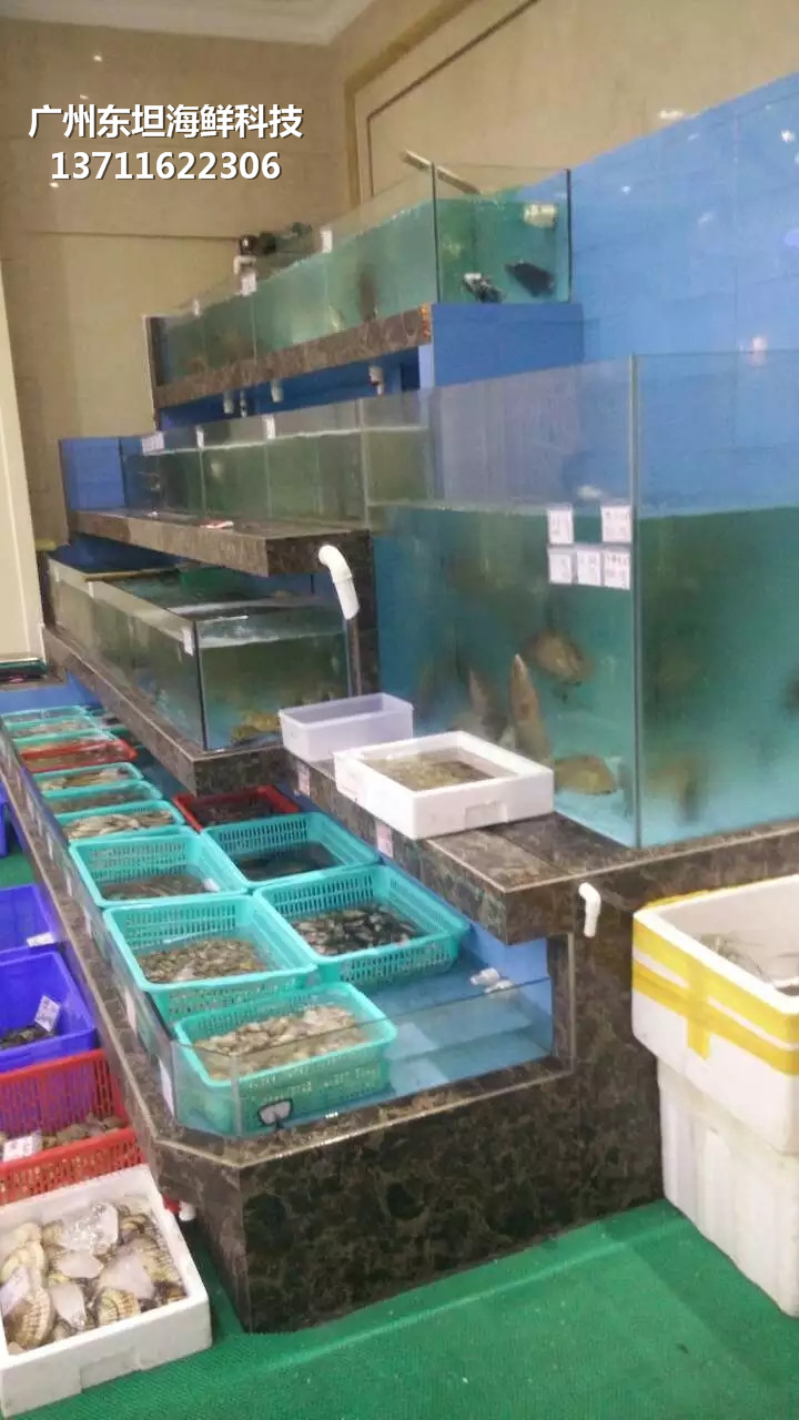 广州萝岗海鲜鱼缸尺寸