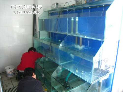 广州南沙玻璃海鲜池定做电话