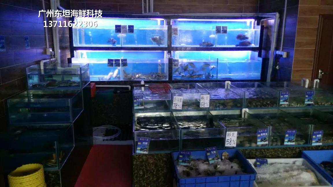 广州越秀海鲜鱼缸尺寸