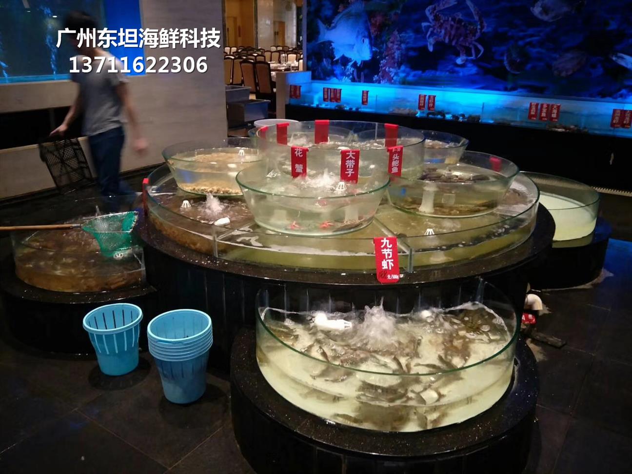 中山海鲜鱼缸制冷工程