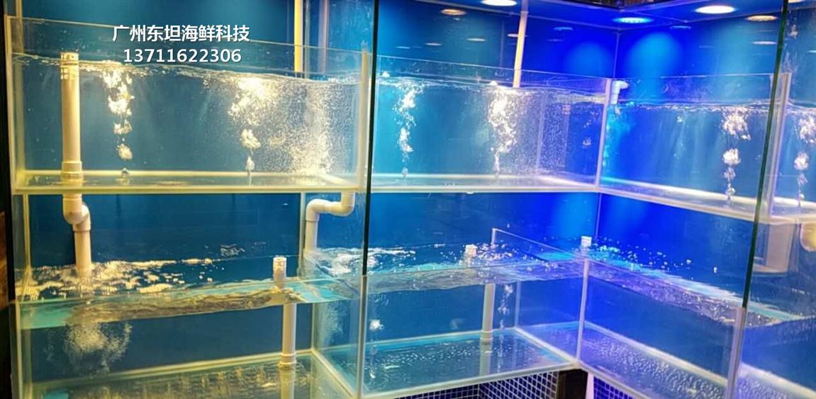 广州荔湾玻璃海鲜池用什么材料