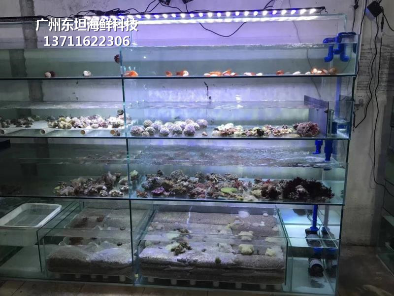 广州萝岗玻璃海鲜池用什么材料