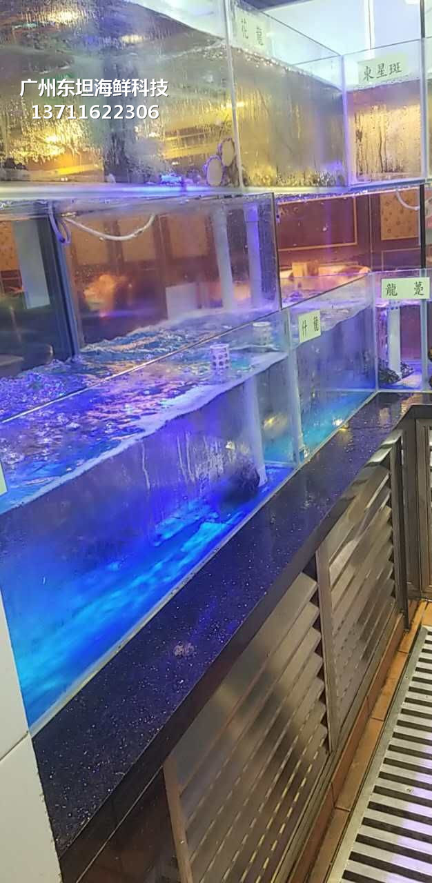 广州萝岗玻璃海鲜池制冷机