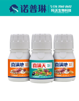 西葫蘆管理方法和施肥方法