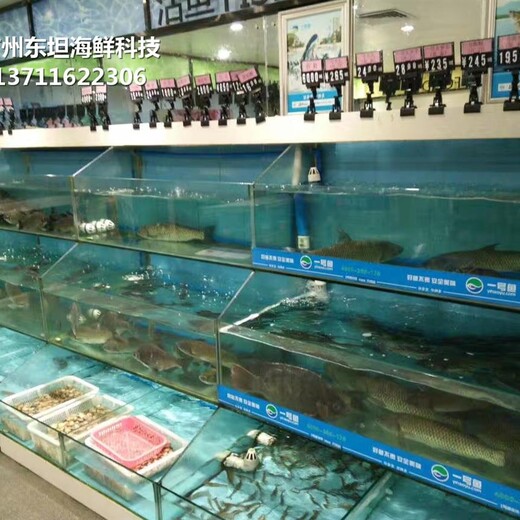 东莞高埗海鲜鱼缸多少钱 酒店海鲜池