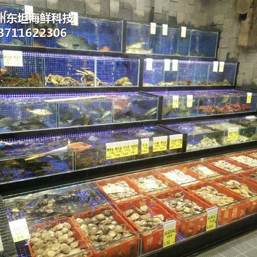 深圳龙华海鲜池安装 海鲜鱼缸 定做东坦鱼池