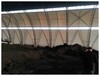 陜西西安山西太原氣膜煤棚-專業的氣膜結構煤棚建造