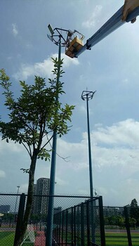 廣州的吊車出租公司-來賓吊車出租