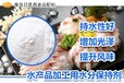 海产品加工专用水分保持剂—青岛日昇昌食品配料现货供应