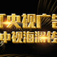 南京广告找哪里 中央电视台 中视海澜传播产品图