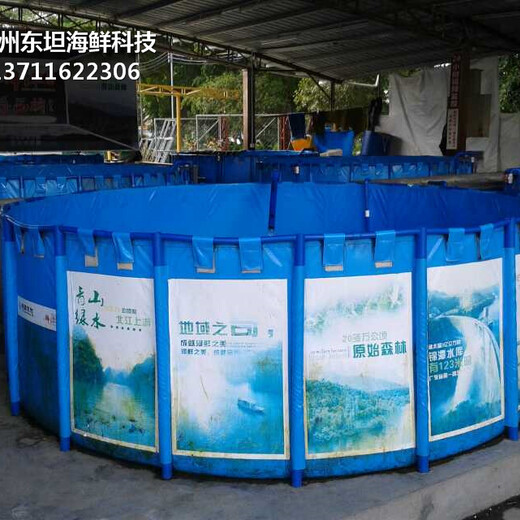 广州越秀海鲜鱼池定做公司 海鲜鱼缸
