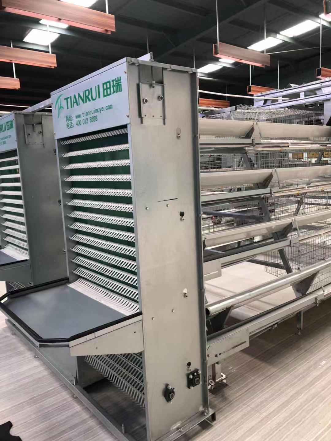 桂林9TLD 系列阶梯式蛋鸡设备品牌