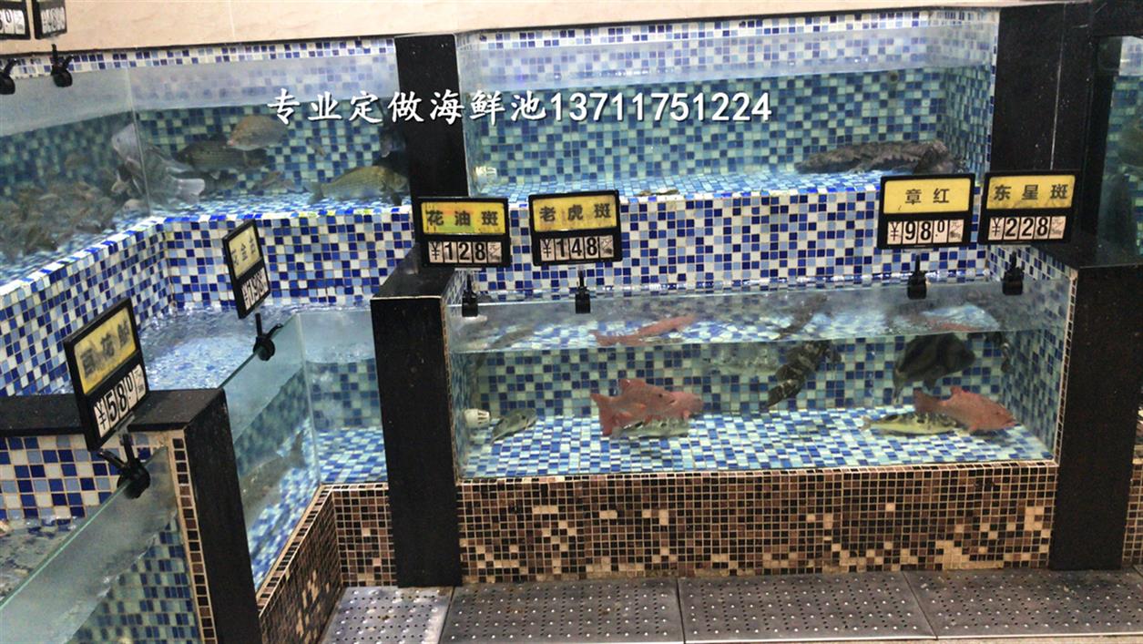 广州石楼定做海鲜池清洗消毒
