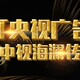中央电视美丽中国行广告投放图