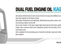 保山價格合理的雙燃料機油推薦-普通機油與雙燃料機油的區別有哪些
