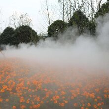 驿城冷雾工程人工造雾设备 绿森图片