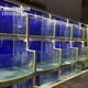 玻璃鱼池图