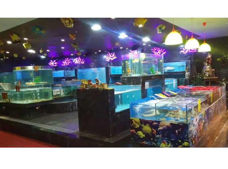 深圳香梅订做海鲜池设备