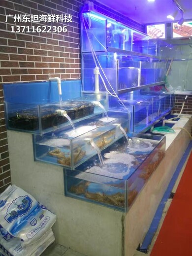 中山海鲜鱼池设备 玻璃鱼缸
