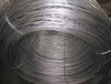 台州镀锌丝价格-高质量的镀锌丝东海线材厂专业供应